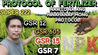 PROTOCOL OF FERTILIZER | SUPER 222, GSR 12, GSR 605, GSR 15 | NARITO NA