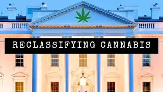 Cannabis Rescheduled: TRUMP did WHAT?