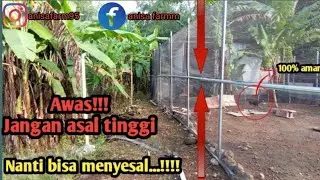 Solusi pagar ayam 