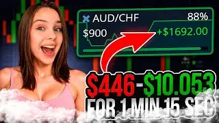 💡 QUANTUM ALGORITHMS CRACK POCKET OPTION | Build Your Trading Dynasty | NO MORE LOSING TRADES!