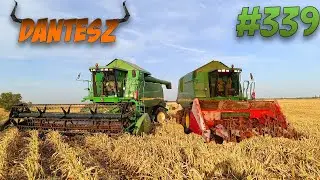 Mezőgazdasági live#339 cirok majd utána napraforgó aratás :) 2023.08.28