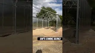 Let&rsquo;s go #2branch #greenhouse #farmtotable