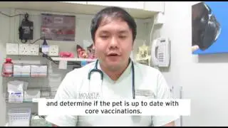 #WedsWithVets - The importance of regular vet health checks