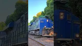 Levando cont&ecirc;ineres sentido interior de Rondon&oacute;polis.  #railway #trensingstatus #ferrovias #brado
