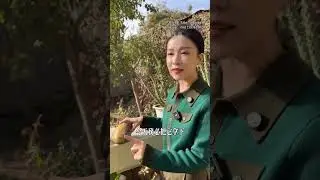 自信滿滿貨比標王