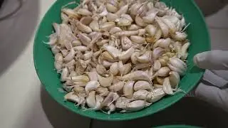 2021 का शानदार बिज़नेस | Fully Automatic Heavy Duty Garlic Peeling Machine  Manufacturers