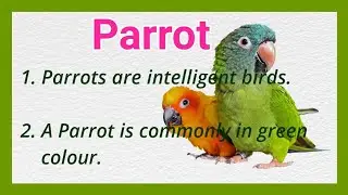 10 Lines on Parrot 🦜 in English!! Short Essay on Parrot !! Ashwin's World
