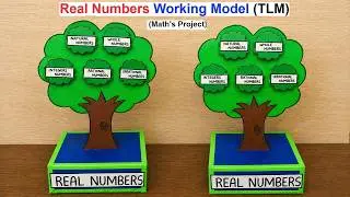 real numbers working model - maths tlm project - diy - craftpiller