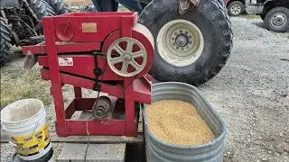 Очистка органических соевых бобов
