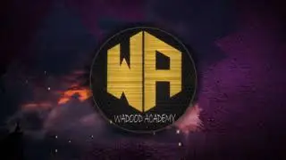 wadood academy