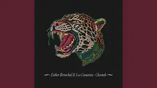 Cheetah (Original Mix)