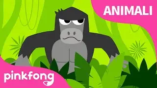 Il Boogie della GiunglaㅣCanzoni sugli AnimaliㅣPinkfong, Bimbo Squalo! Canzoni per Bambini
