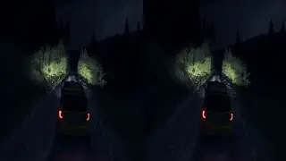 Dirt Rally 4K 3D PC MAX Settings 3840x2160 race #14