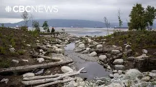 Creek habitat restored at Vancouver's Spanish Banks beach