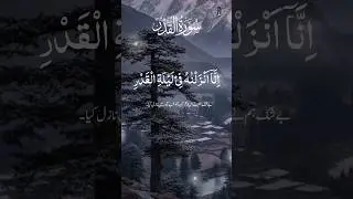 new qari tilawat quran best voice #qariqurantilawat #hreattouching #beast #vairalshort