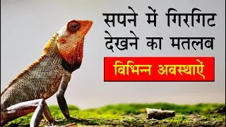 sapne me girgit dekhna | seeing chameleon in dream | girgit ka sapna dekhna kaisa hota hai |