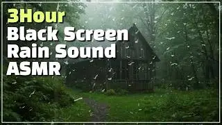 Rain Holds Me Gently - A Quiet Place Inside the Storm