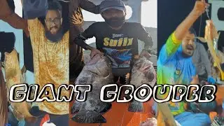 Giant Grouper Fish | Gadani Khora ( Fishing in Charna Island ) Karachi Fishing #2025 