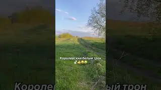 #fishing #nature #funny #maximum #big