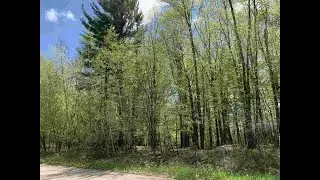 Lot 16 Oak View Dr Shawano, WI 54166 - Vacant land for sale