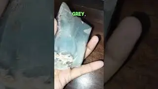 Chalcedony Mineral- A Gem in Disguise  #earthgems  #earthdetective