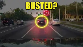 Red Light Rebel in Florida