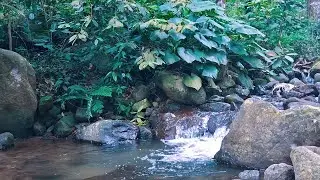 River Ambience for Deep Night Calm