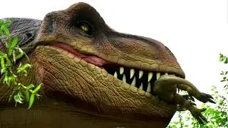 A UK Story