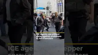 Агенты ICE применили перцовый баллончик при задержании протестующего в Сан-Франциско | AJ #шорты