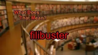 What does filibuster mean?