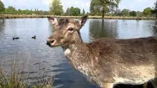 Nokia N8 meets Nature.