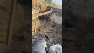 Sarıkamış Gecikmez Köyü Sokakları 2025