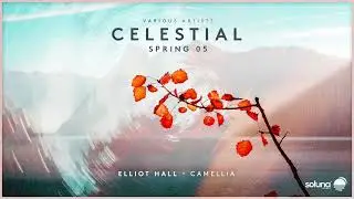 Elliot Hall - Camellia [Soluna Music]