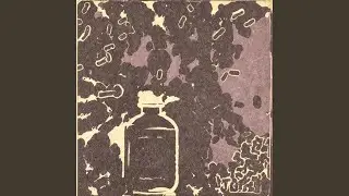 in my verse! (feat. foedeekay)