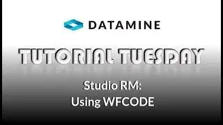 Studio RM: Using WFCODE