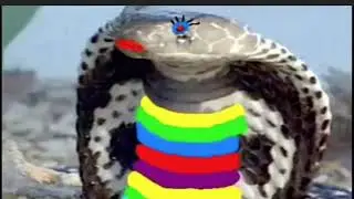 Picadura de la cobra gay official video