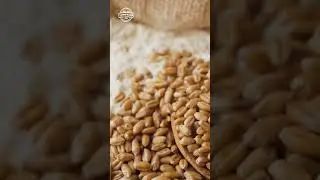 The versatility of Farmfields&rsquo; Country Flour turns your kitchen into a playground of possibilities!