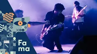 Jacko Brango - Mamy to we krwi (Live Festiwal Fama 2024)