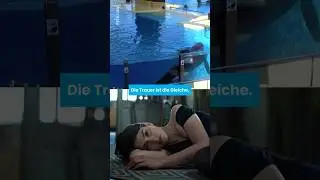 #Orcas leiden in Meereszoos. JETZT HELFEN: www.PETA.de/kampagnen/tui/ 📝
