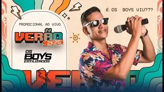 OS BOYS ESTILIZADOS - VER&Atilde;O 2026 - PISEIRO PRA PARED&Atilde;O