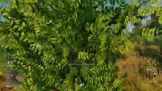 Cuisine Royale LIVE!!
