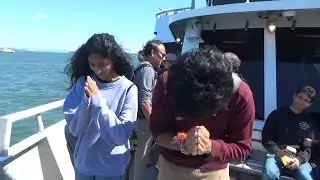 Competitive stone skipping