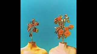 {FREE} TYLER THE CREATOR X JILL SCOTT TYPE BEAT 