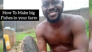 PART 1: Catfish Farm Exposed | How To Make Your Fishes Grow Bigger (proper stocking management )