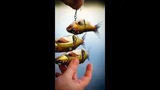 LAND MORE FISH