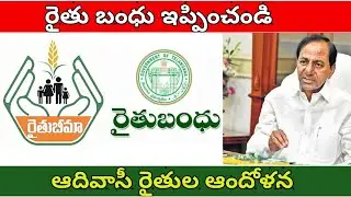 రైతు బంధు ఇప్పించండి||ఆదివాసీ రైతుల ఆందోళన||Adivasi farmers concern||#PavanMultipleVideos