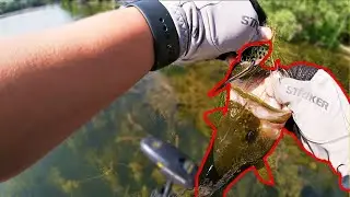 Catching Big Bass On Frogs