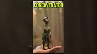 Concavenator: The Hump-Backed Dino You&rsquo;ve Never Seen 🦖😮