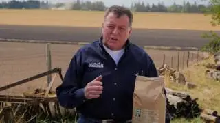 Equerry's Economy : Animal Health Solutions Inc.