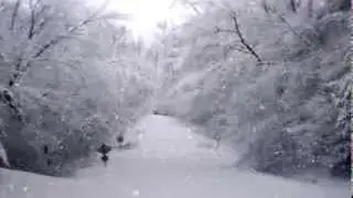 NYPTV Christmas Wish